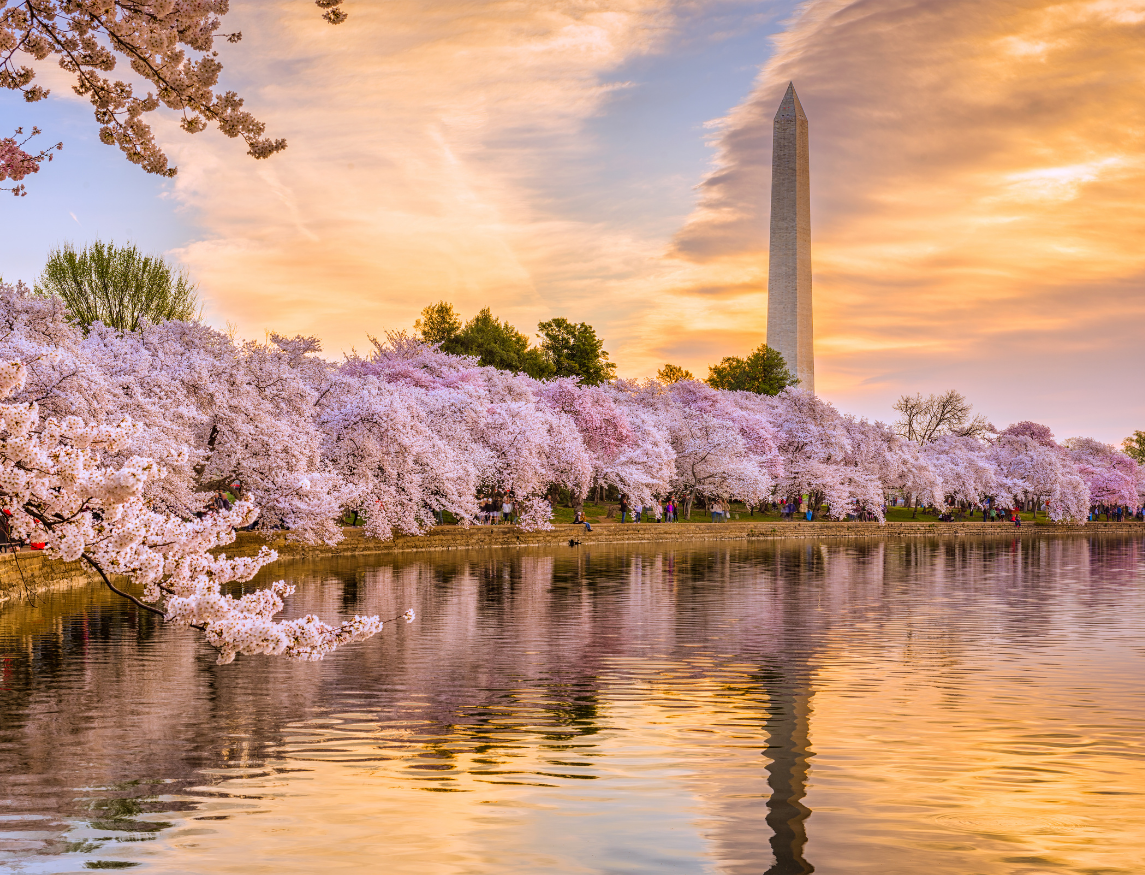 City Pricing - DC City Pricing - DC