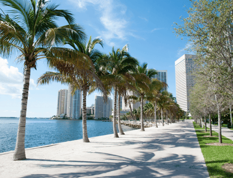 City Pricing - Miami (2)