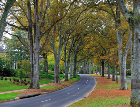City Pricing - NC City Pricing - NC