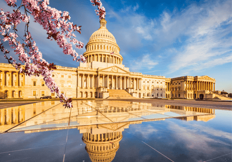 City Pricing - WA DC City Pricing - WA DC