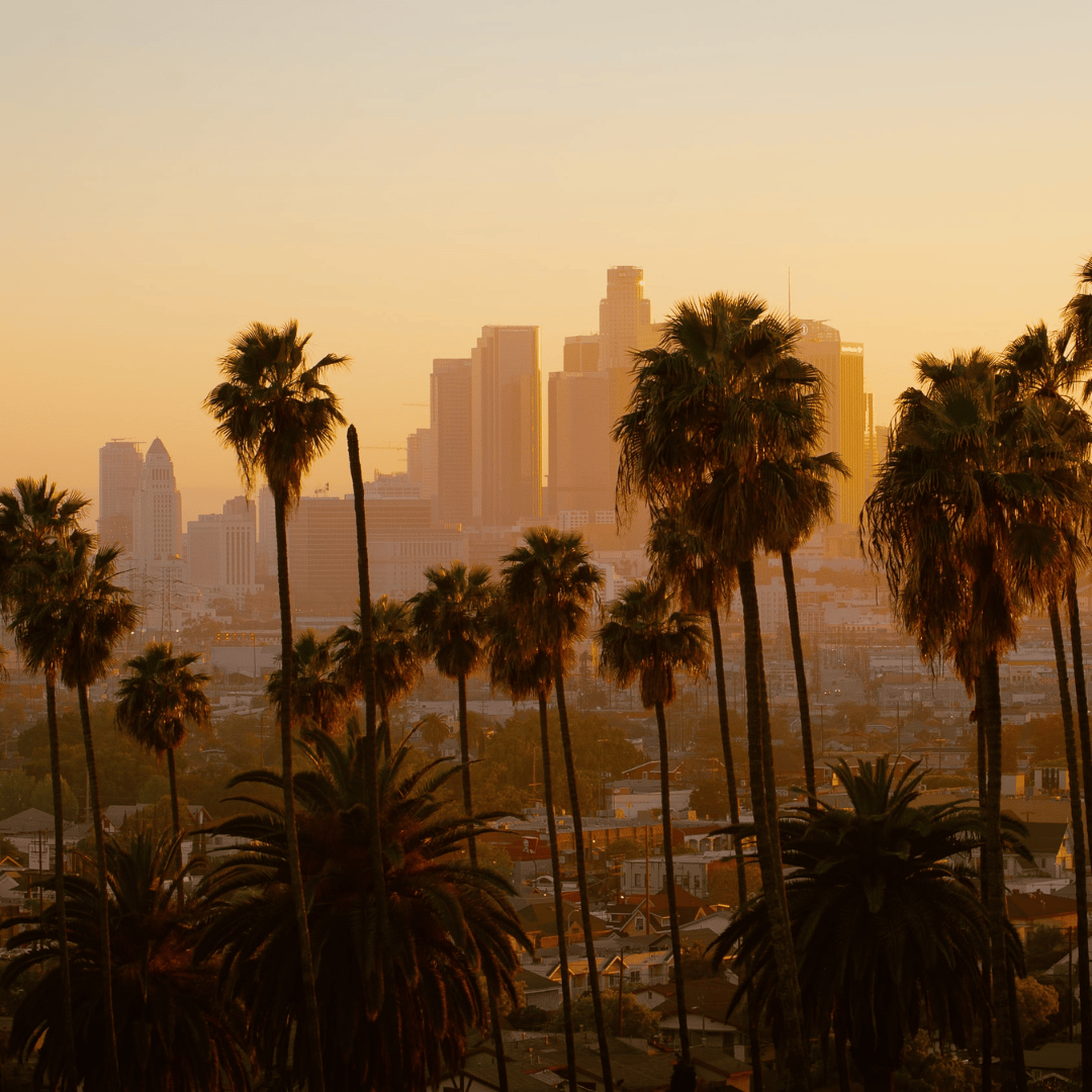 Study Abroad in Los Angeles